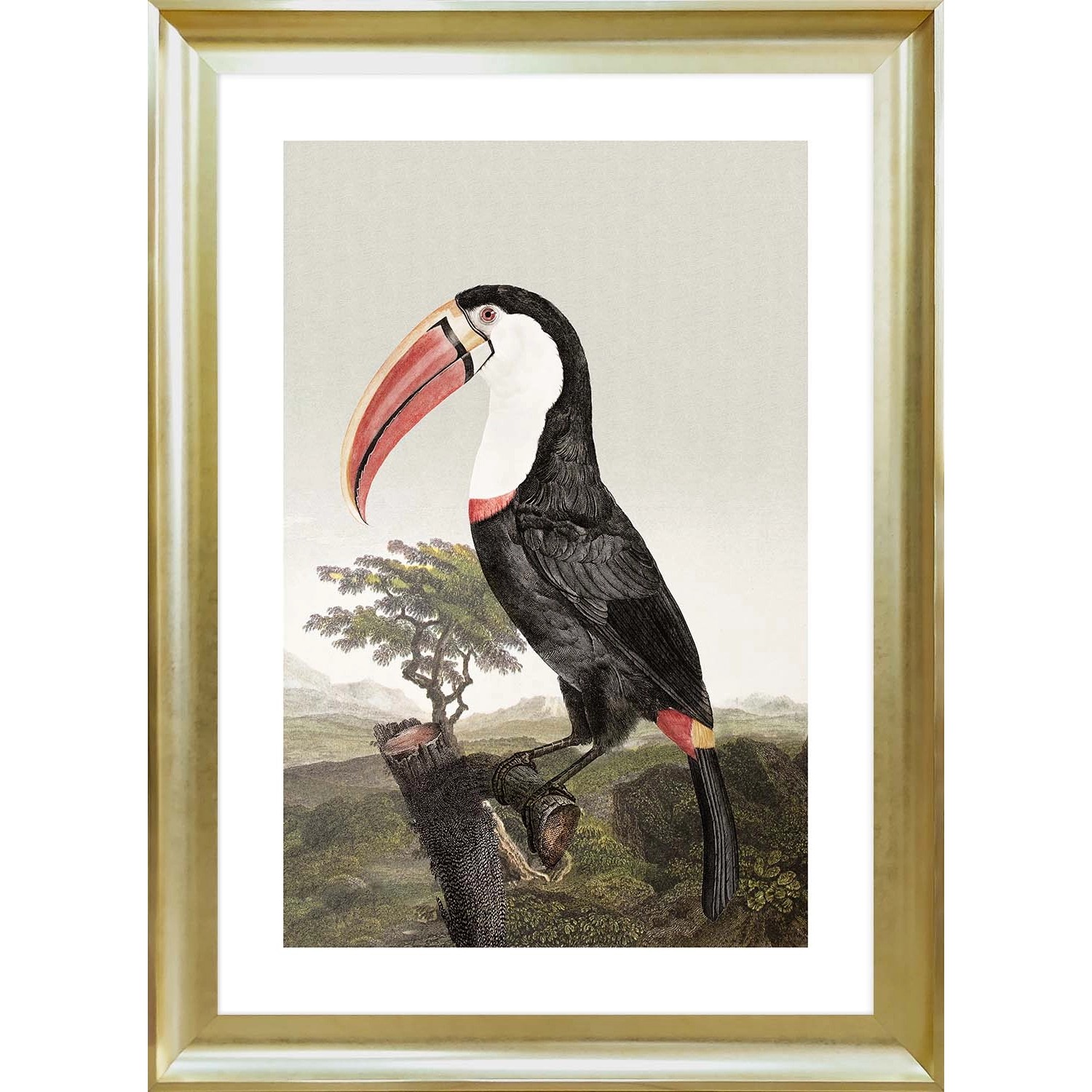 ARS LONGA Obraz TOUCAN ON A BRANCH 58 x 78 cm