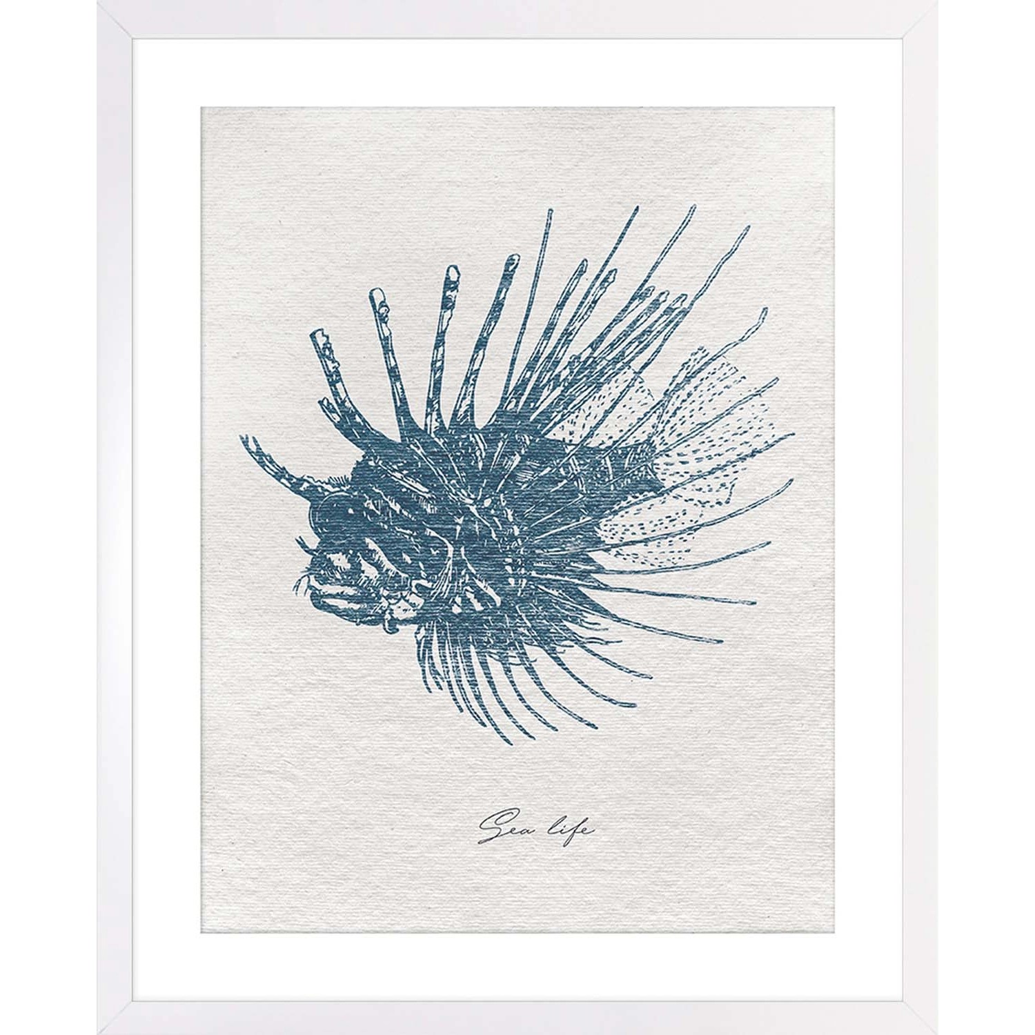 ARS LONGA Obraz RED LIONFISH 43 x 53 cm