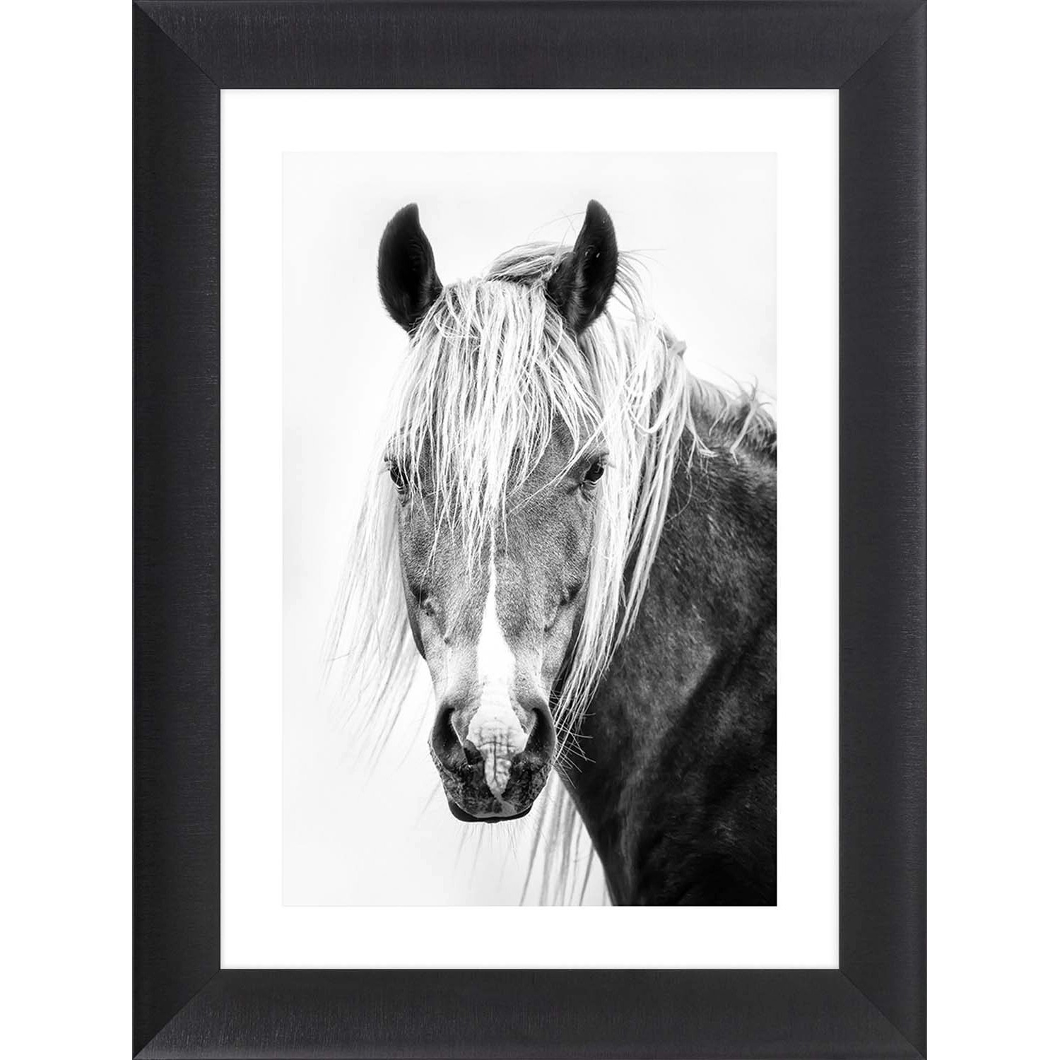 ARS LONGA Obraz THE EYE OF HORSE 64 x 84 cm