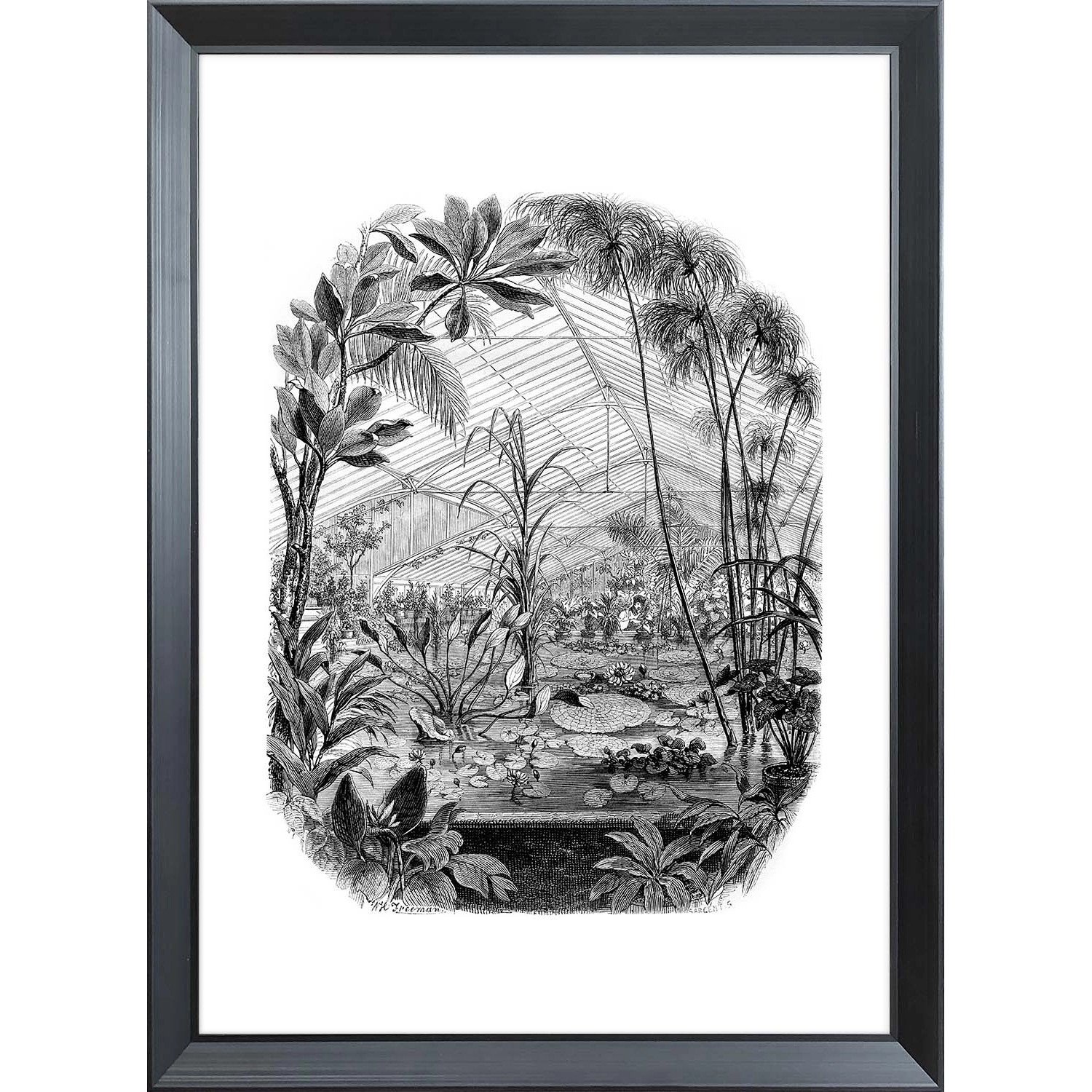 ARS LONGA Obraz BOTANICAL GARDEN 55 x 75 cm