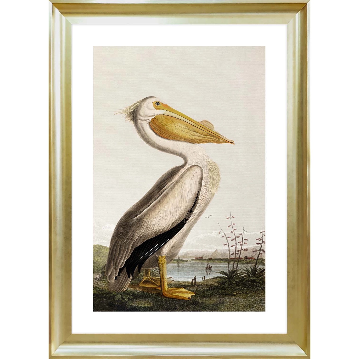 ARS LONGA Obraz PELICAN 58 x 78 cm