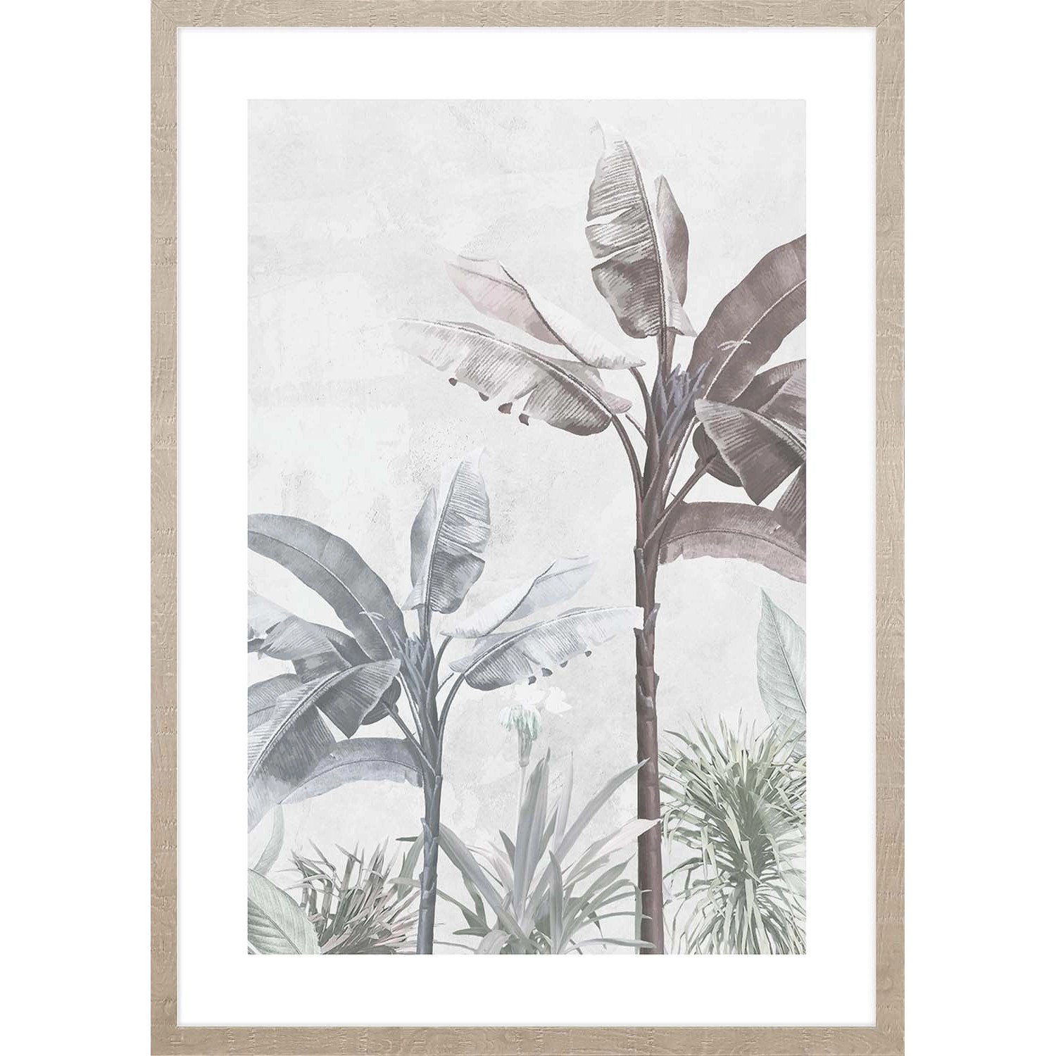 ARS LONGA Obraz STRELICIA no.2 53 x 73 cm