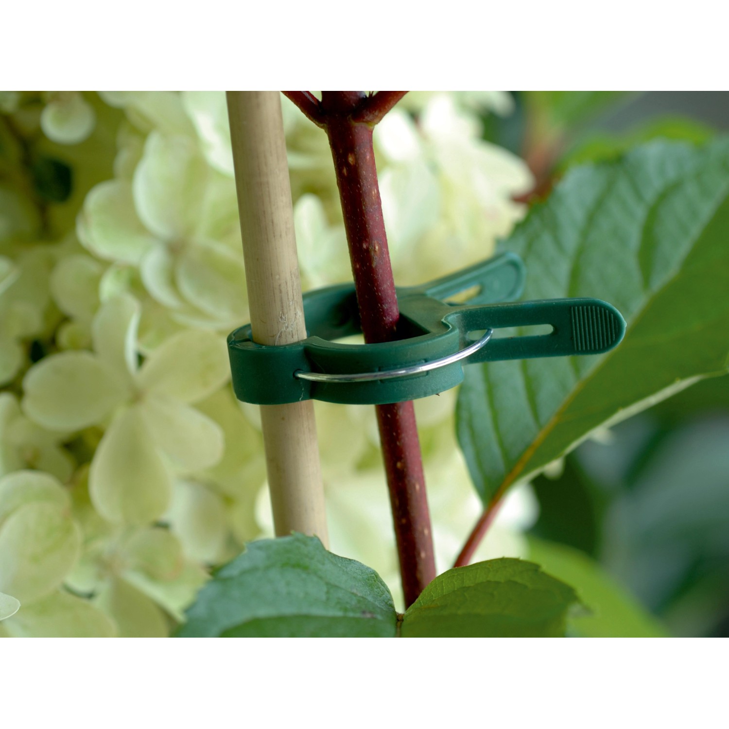 Klipsy do mocowania roślin 20 sztuk