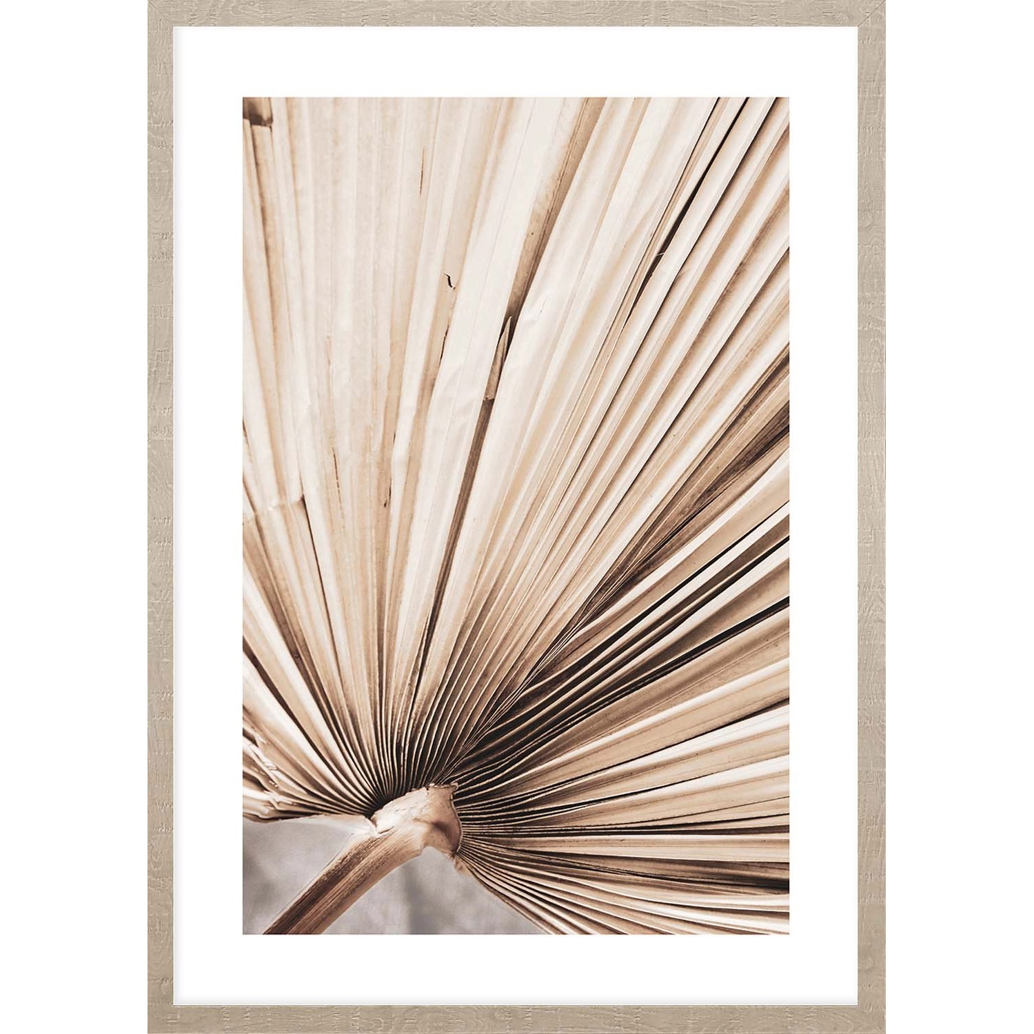 ARS LONGA Obraz PALM LEAVES no.3 53 x 73 cm