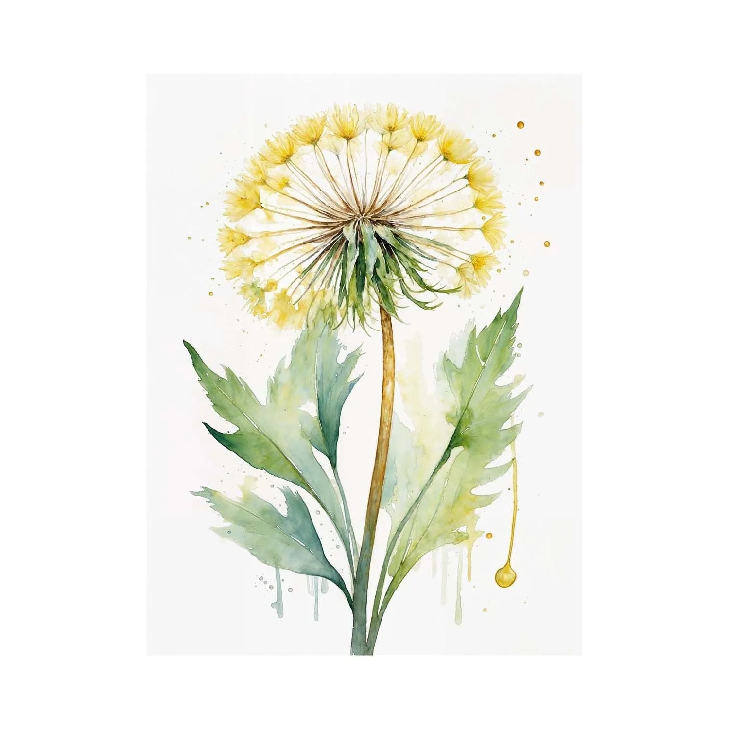 Frames Factory Obraz CANVAS dmuchawiec 60 x 80 cm