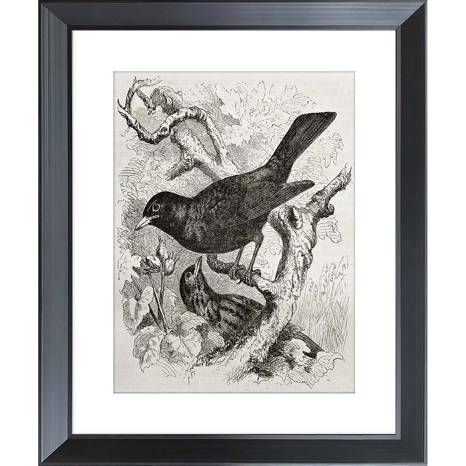 ARS LONGA Obraz BIRDS ON BRANCHES 45 x 55 cm