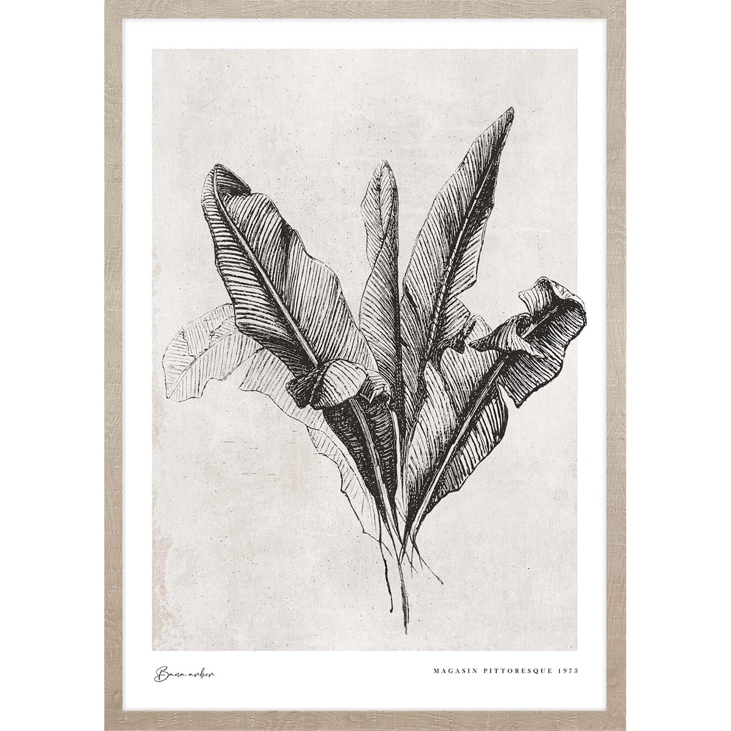 ARS LONGA Obraz BANANA LEAVES 53 x 73 cm