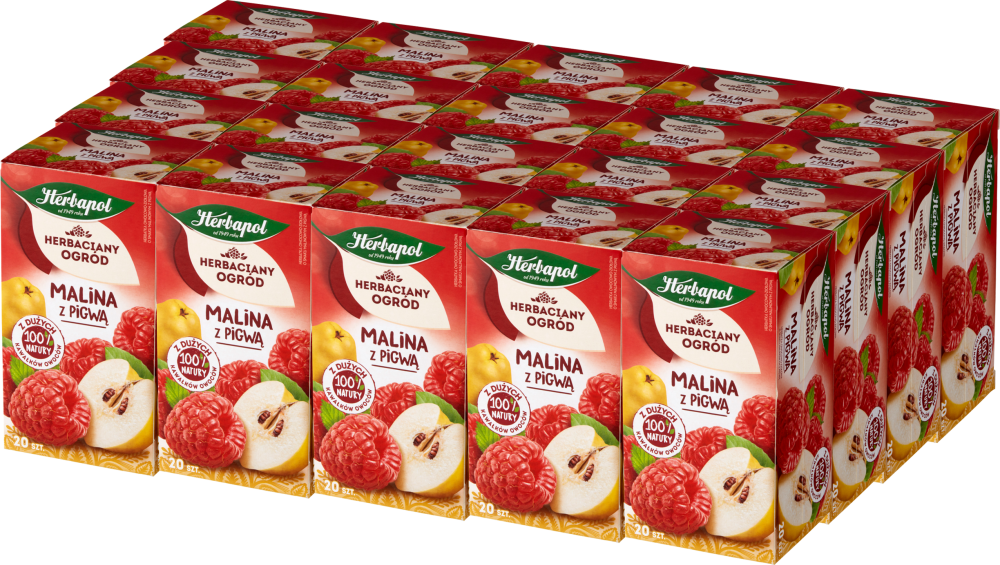 20x Herbata owocowa w torebkach Herbapol Herbaciany Ogród, malina z pigwą, 20 sztuk x 2,7g