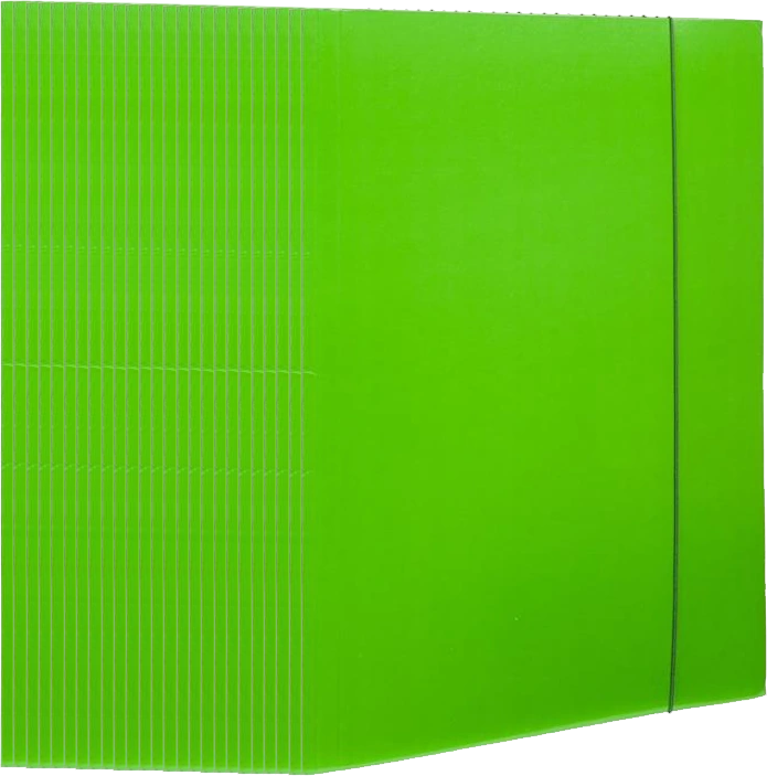 25x Teczka kartonowa z gumką lakierowana Barbara, A4, 3mm, zielony
