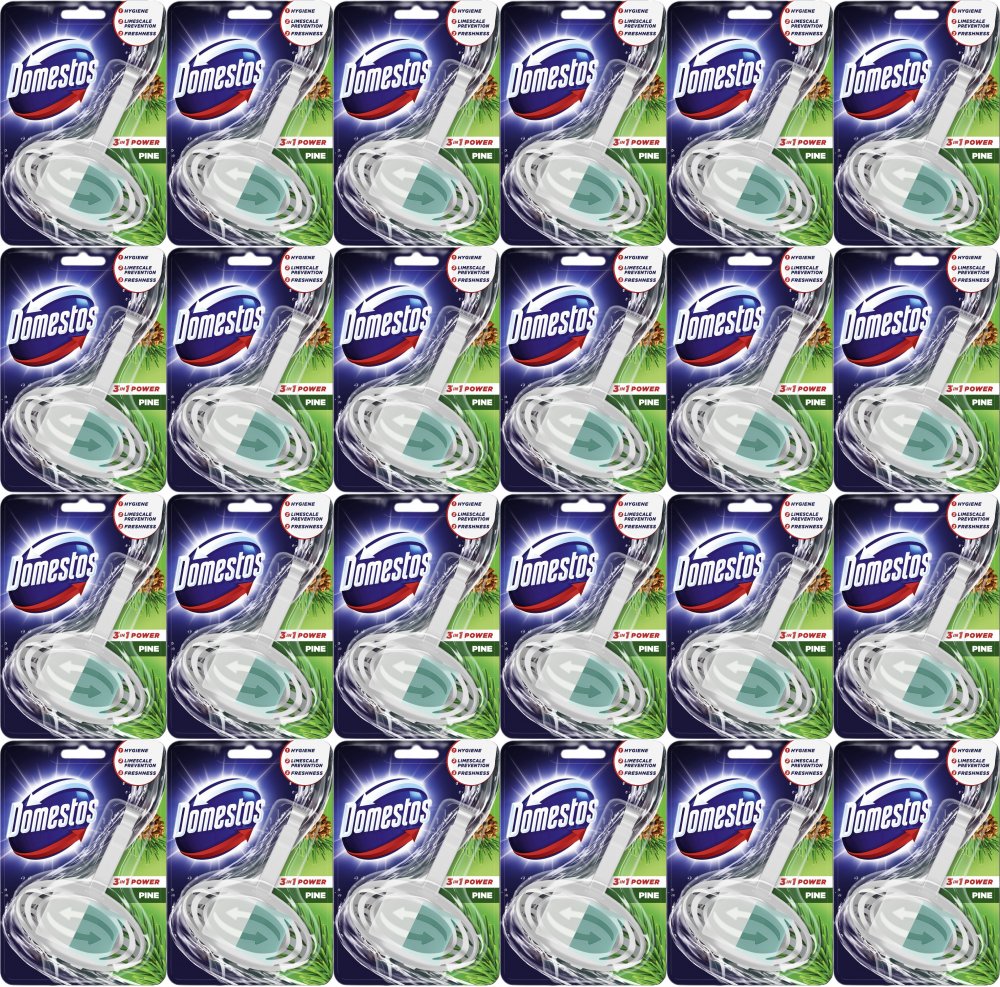 24x Kostka do WC z koszyczkiem Domestos, 3w1, Pine, 35g