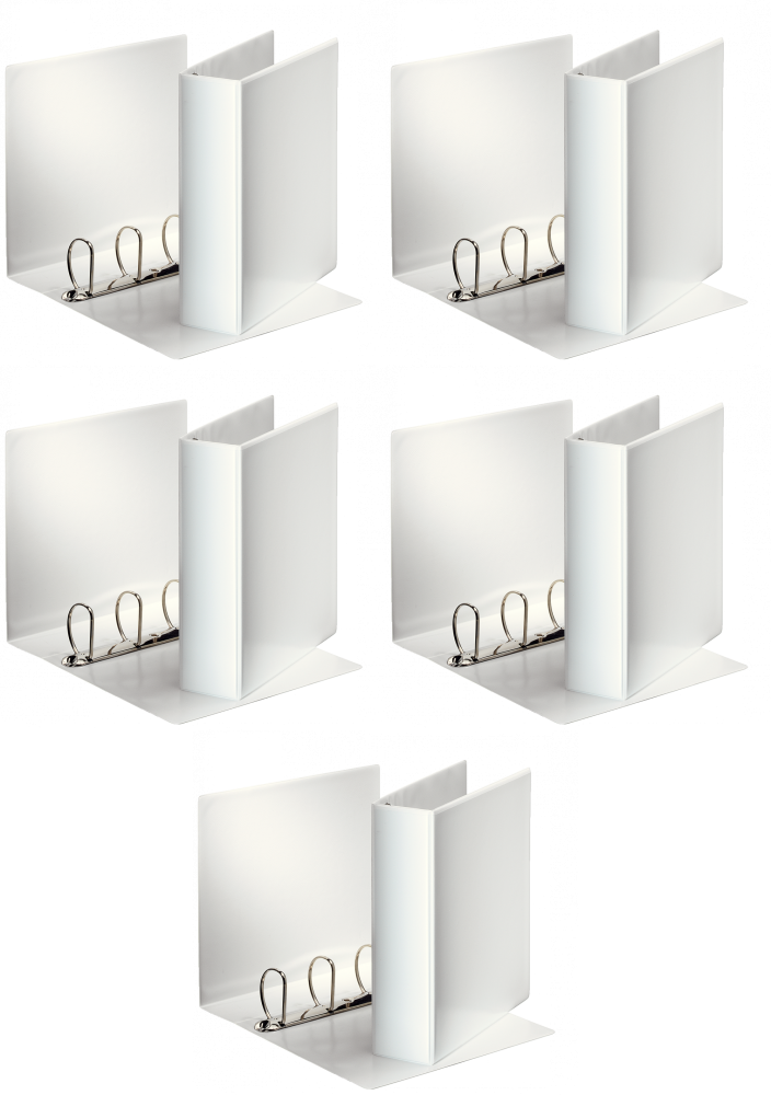 5x Segregator prezentacyjny Esselte Panorama, A4, szerokość grzbietu 85mm, do 580 kartek, 4 ringi, biały