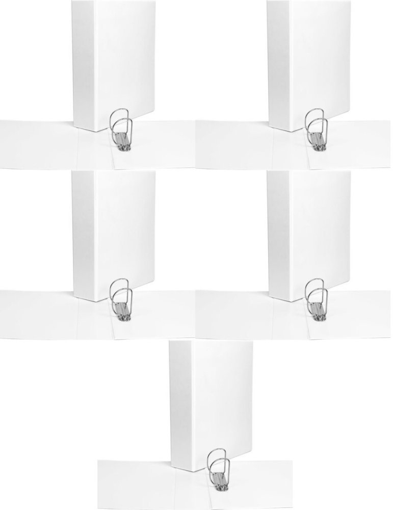 5x Segregator panoramiczny Biurfol, A4, szerokość grzbietu 65mm, 2 ringi, biały