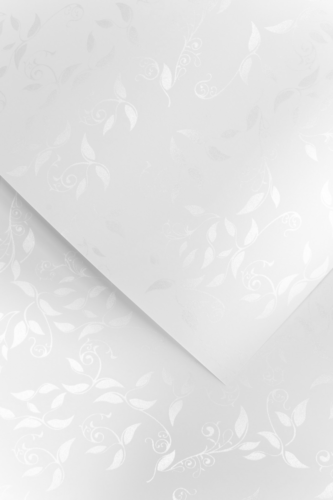Papier ozdobny Galeria Papieru Liana, A4, 100g/m2, 50 sztuk, biały