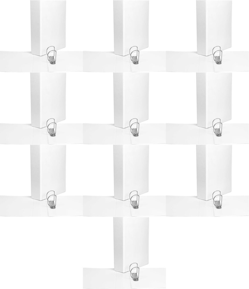 10x Segregator panoramiczny Biurfol, A4, szerokość grzbietu 65mm, 2 ringi, biały