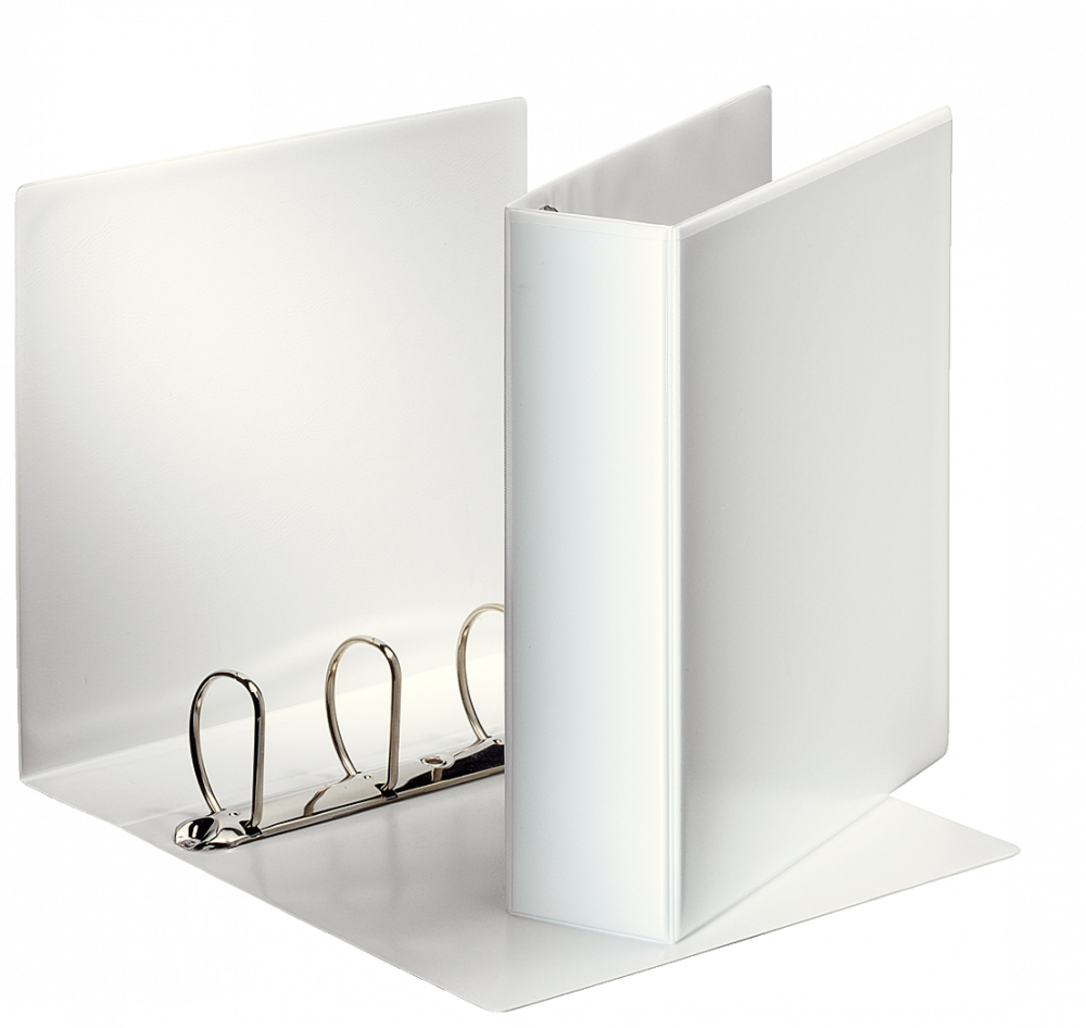 Segregator prezentacyjny Esselte Panorama, A4, szerokość grzbietu 85mm, do 580 kartek, 4 ringi, biały