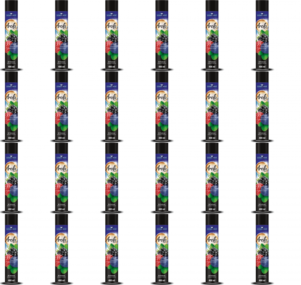 24x Odświeżacz powietrza General Fresh Arola XXL, spray, owoce leśne, 400ml