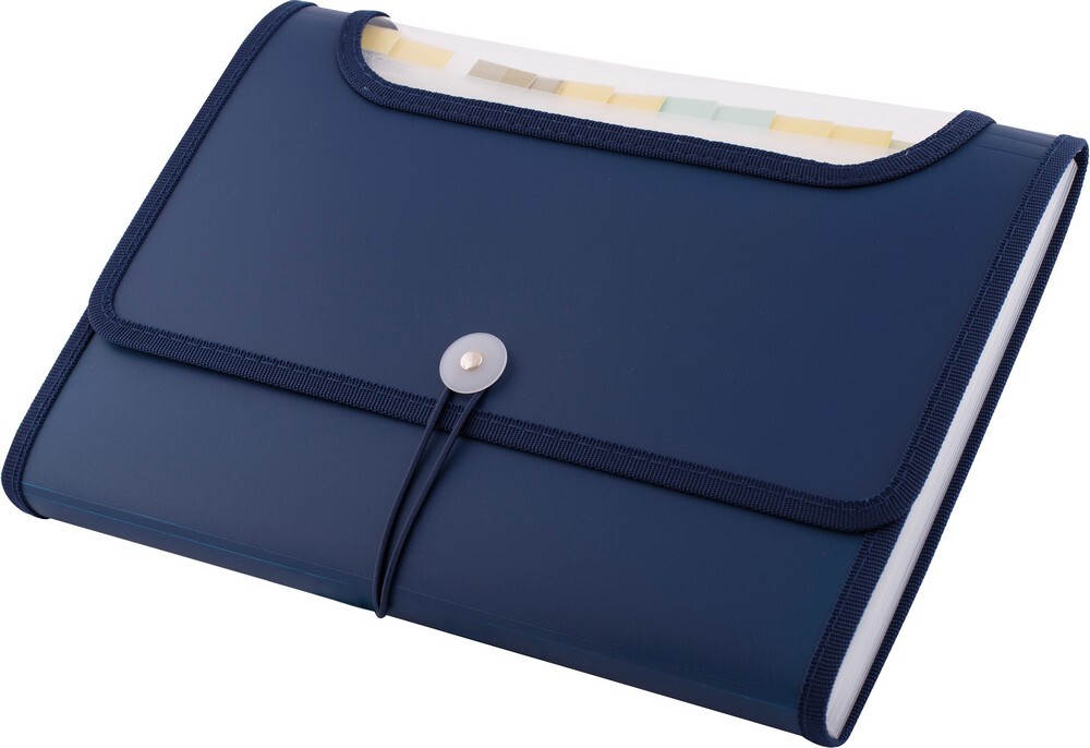 Teczka z przegródkami D.Rect 5590, A4, 12 przegródek, granatowy