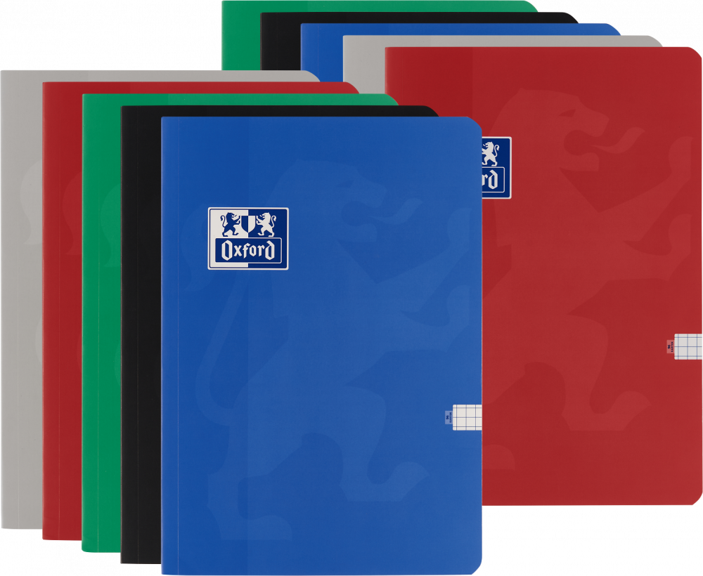 10x Brulion w kratkę MO Oxford Esse, A4, miękka oprawa, 96 kartek, mix kolorów