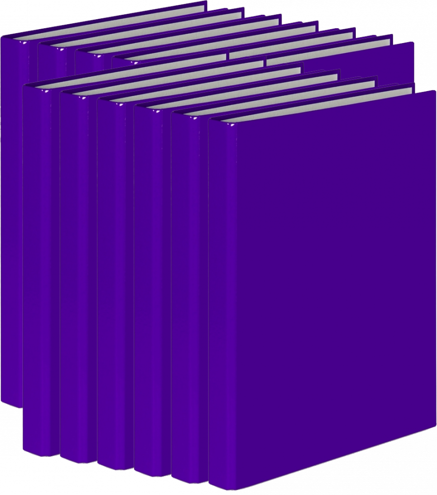 12x Segregator ringowy VauPe FCK, A4, szerokość grzbietu 25mm, do 150 kartek, 2 ringi, fioletowy