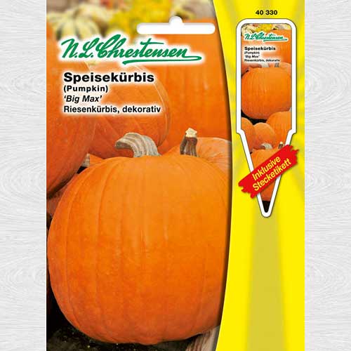 1 pac, Dovleac gigant Big Max - Semințe: Mod de ambalare: 1 pac