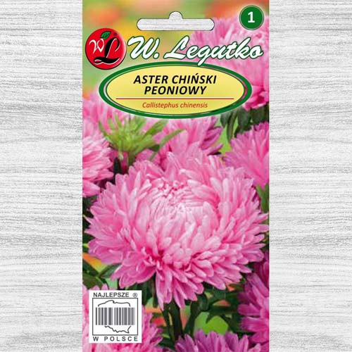 1 pac, Ochiul boului tip bujor roz Legutko - Semințe: Mod de ambalare: 1 g