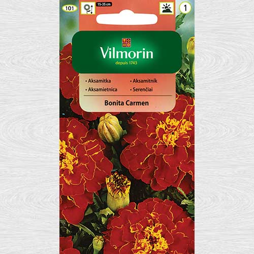1 pac, Craite Bonita Carmen - Semințe: Mod de ambalare: 1 g