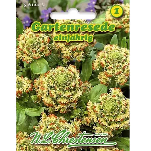 1 pac, Reseda odorata - Semințe: Mod de ambalare: 1 pac