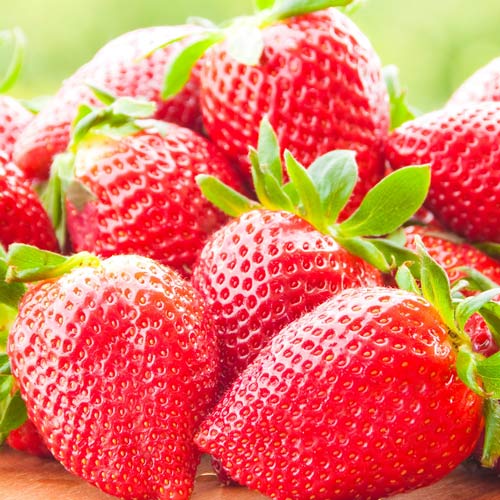 5 buc, Căpşuni Selva - : Mod de ambalare: 5 buc