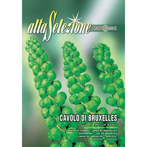 1 pac, Varză de Bruxelles Mezzo Nano - Semințe: Mod de ambalare: 6 g