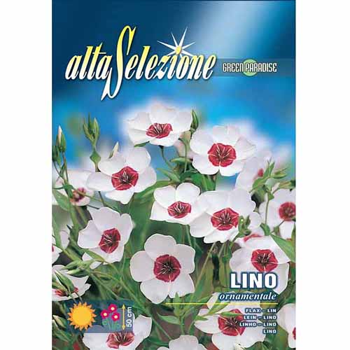 1 pac, In ornamental - Semințe: Mod de ambalare: 0.5 g