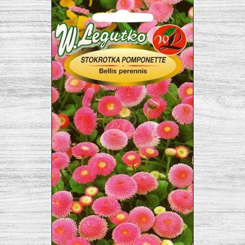 1 pac, Bănuței roz Pomponette Legutko - Semințe: Mod de ambalare: 0.1 g