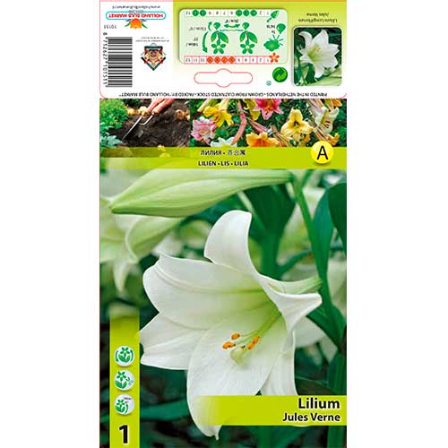 1 buc, Crin Jules Verne - Bulbi: Mod de ambalare: 1 buc