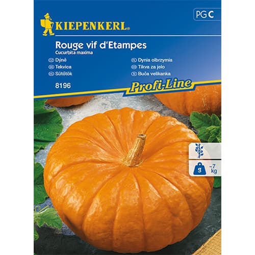 1 ob, Tykev Rouge vif d'Etampes - : Monžstvo balíkov: 1 ob