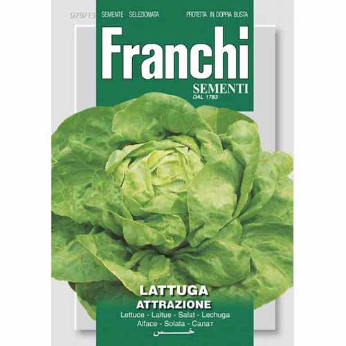 1 szt, Fejessaláta Attrazione - Magok: Mod de ambalare: 1 db