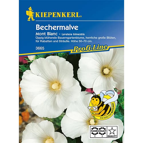 1 szt, Bechermalve Mont Blanc - Samen: Ilość w opakowaniu: 1 Stück