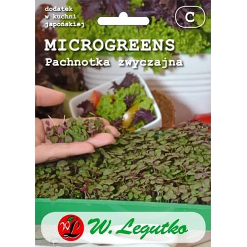 1 szt, Microgreen - Perilla Blättrig - Samen: Ilość w opakowaniu: 3 g