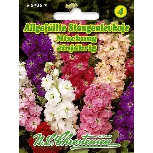 1 szt, Stangenlevkoje Allgefüllte Mischung - Samen: Ilość w opakowaniu: 1 Stück