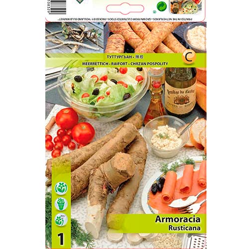 1 szt, Meerrettich (Armoracia) - Samen: Ilość w opakowaniu: 1 Stück