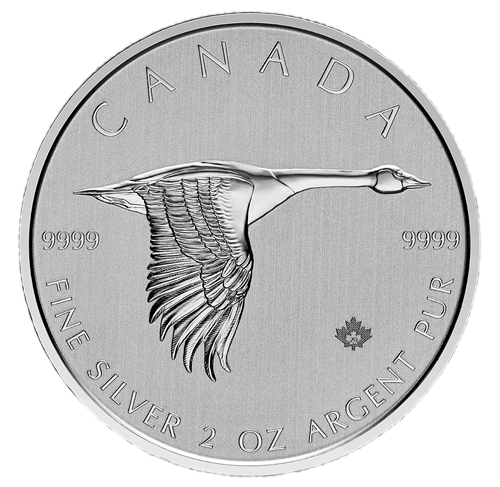 Srebrna moneta Gęś Kanadyjska 2 uncje - wysyłka 24 h! - Mennica Skarbowa