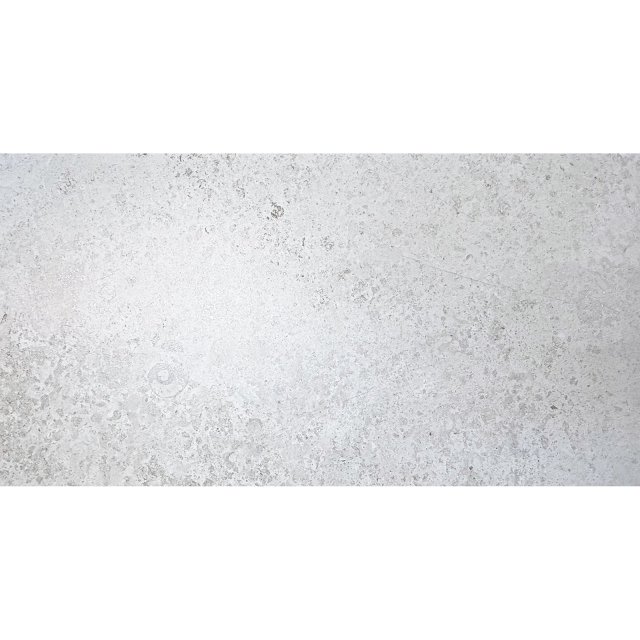 Gres szkliwiony Magnifica FOSSILIA SILVER mat 60x120 gat. I