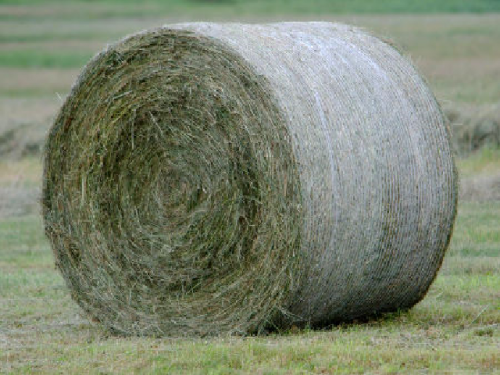 Landwirtschaftsnetz 1,25 x 2000 m HellasNet 24 kg/Stück