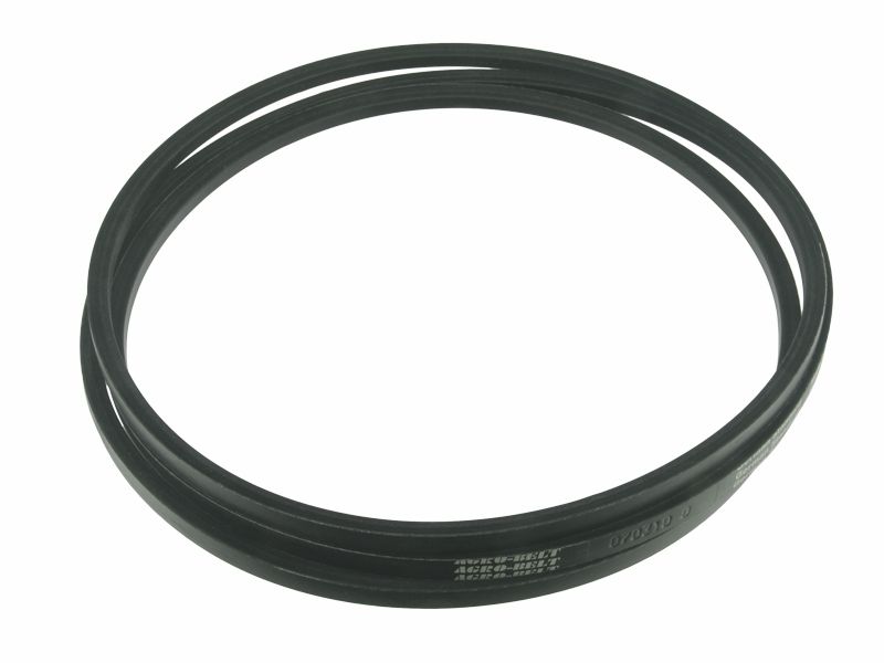 Pas 070310 17 x 3911