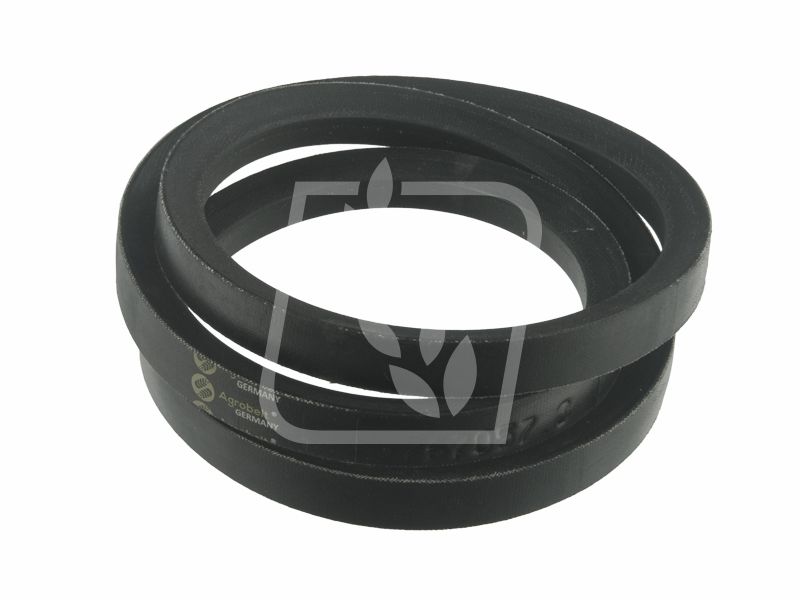 Pas 767057 17 x 1245