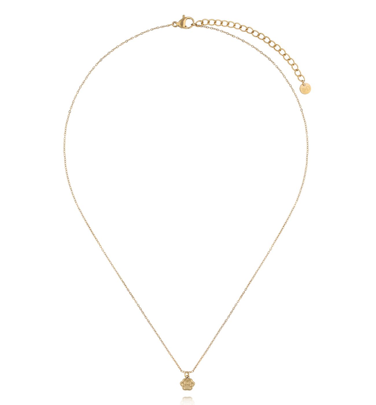 Naszyjnik z łapką – złoty symbol miłości do zwierząt NSY0793