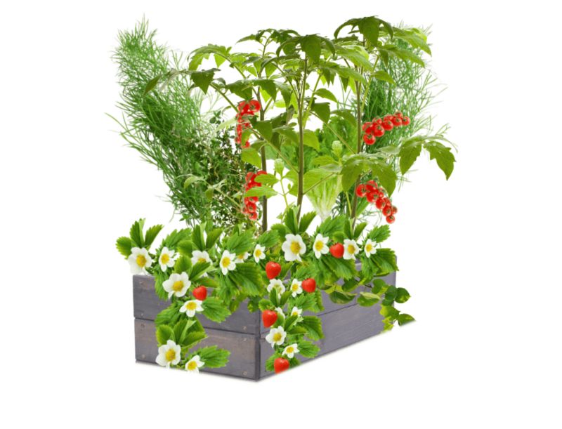 Inspekt MODO24 donica na warzywa 18x63x30 cm szara impregnacja 1 szt.