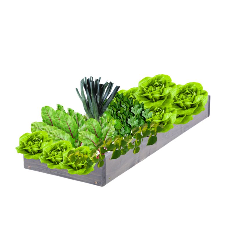 Skrzynia warzywna MODO24 regulowana donica 9x30x60 cm szare impregnowane drewno 1 szt