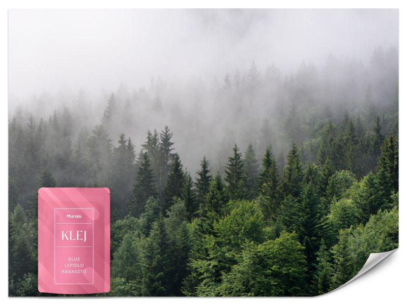 Fototapeta Drzewa we Mgle Natura Las 300x210 cm 1szt.