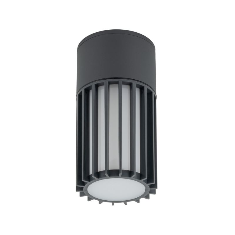Spot zewnętrzny TK Lighting Ribo Gray Lampa Sufitowa Ip54 1Xe27 -1szt.