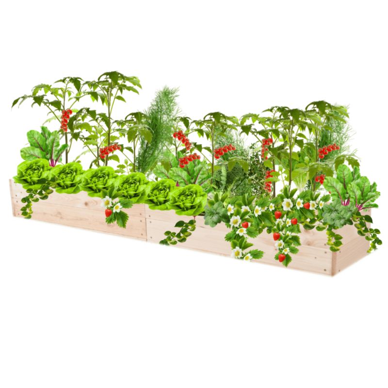 Donica na warzywa MODO24 inspekt impregnowana przeźroczysta 18x163x30 cm 1 szt.