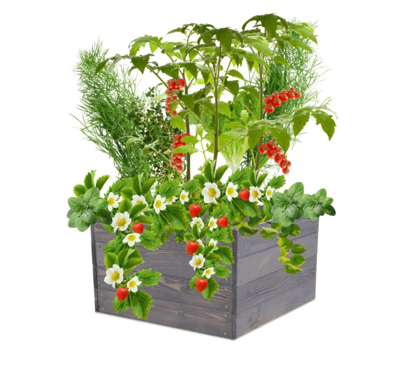 Donica na warzywa MODO24 grządka szara impregnacja 36x103x80 cm 1 szt.